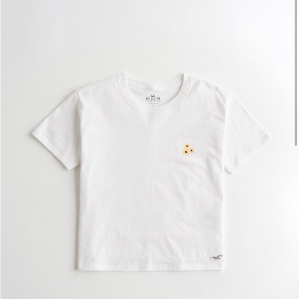 Hollister must have cotton tee